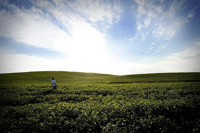 Reflexión visual #011-101130
