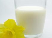 mejores fuentes proteína