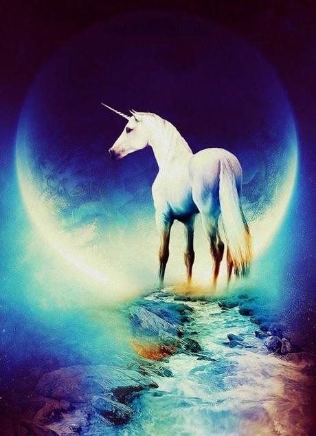 Reflexión visual #011-101131