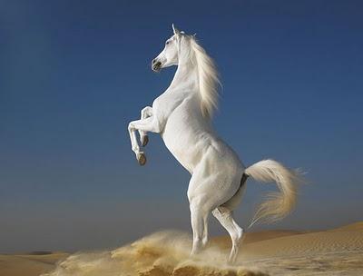 Reflexión visual #011-101131