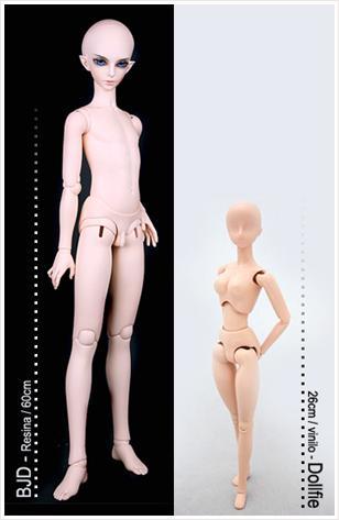 BJD: Ball Jointed Doll