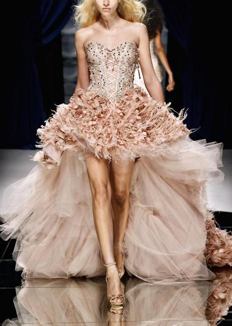 Belleza en Imágenes