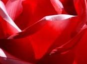 amor profundo