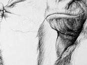 Grandes simios femenino esperanza vida