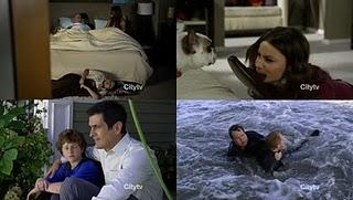 7 imágenes, 7 series (LXXXV)