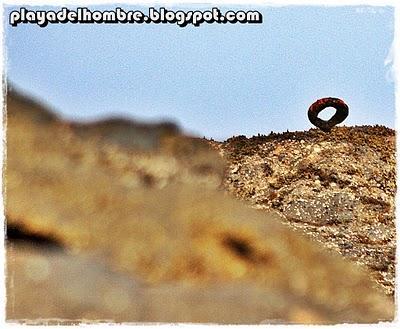 THE  PATH  OF THE  MODERN  GIPSY