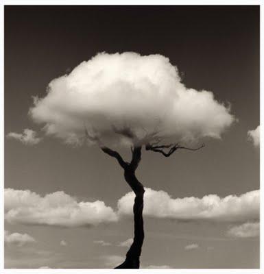 Chema Madoz: El poeta visual.