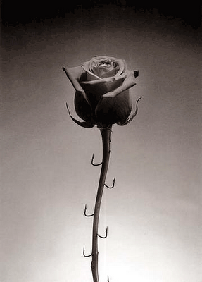 Chema Madoz: El poeta visual.