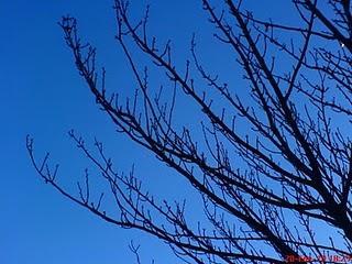 Premio Filosofía Hoy