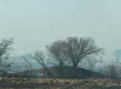 "Los incendios"