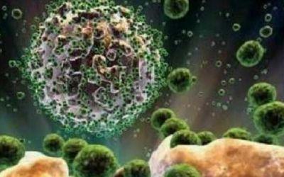 La vacuna contra el SIDA. Un futuro