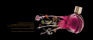 Para nosotros, Loewe