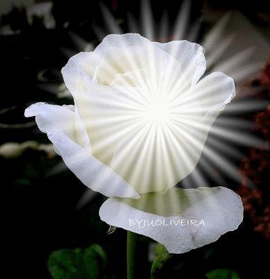 Su Yo Interior es su Yo Exterior