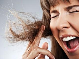 La belleza comienza por el pelo. Cabello fuerte y sano