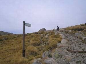 HOMENAJE A LA SIERRA DE GREDOS