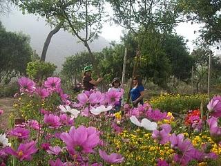 El mágico y colorido encanto de la primavera