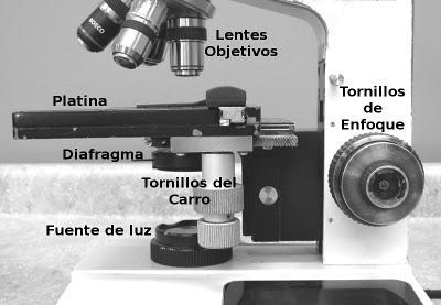 Partes del Microscopio óptico y su función