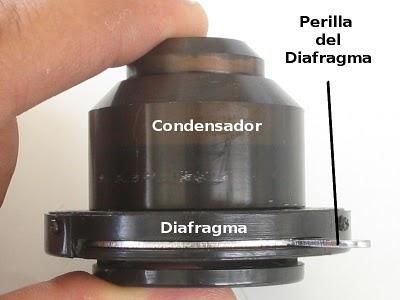 Partes del Microscopio óptico y su función