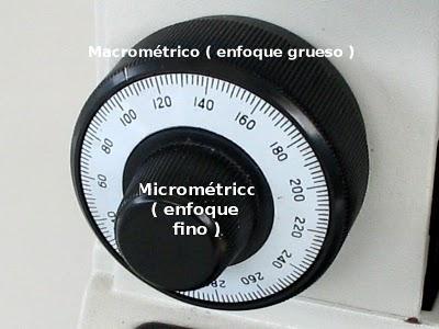 Partes del Microscopio óptico y su función