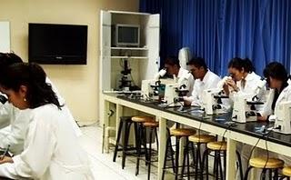 Técnicas de tinción