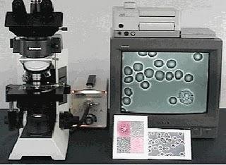 Tipos de Microscopios ópticos