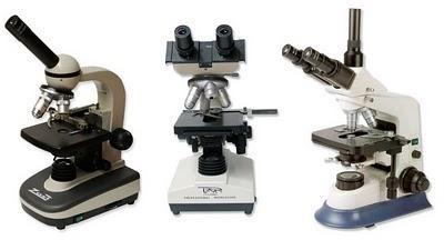 Tipos de Microscopios ópticos