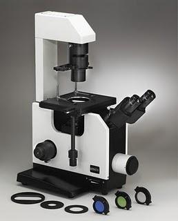 Tipos de Microscopios ópticos