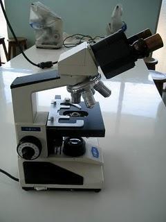 Historia del microscopio