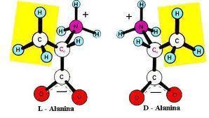 Trabajos finales II cuatrimestre 2010