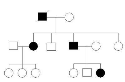 Material sobre Genealogías