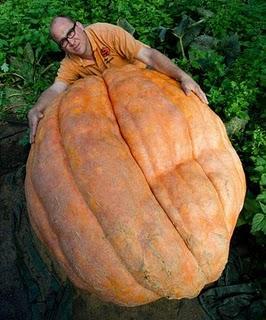 Calabaza Gigante