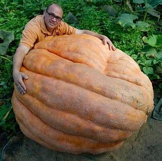 Calabaza Gigante