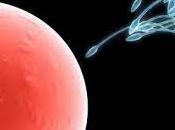 mala calidad semen relaciona tóxicos ambientales durante embarazo