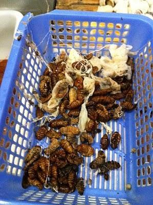 6 motivos para viajar a China (Epílogo) 6 motivos para viajar a China (Epílogo)