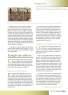 MEMORIA_TOPARES_revista velezana_Page_13