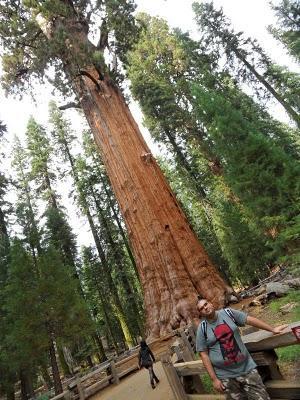 Día 2, Sequoia National Park