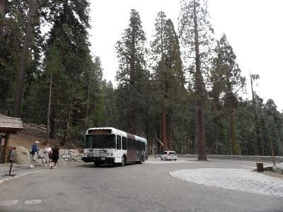 Día 2, Sequoia National Park
