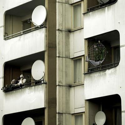 Comedero para pájaros urbanos