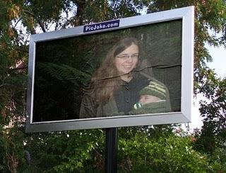 De viaje con cachorro y con trabajo