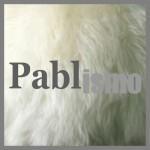 Pablisimo The Pablos