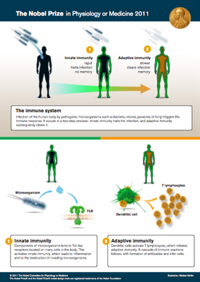 Anuncian premio Nobel de Medicina 2011