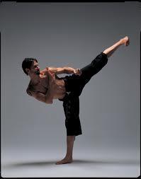 ¿Qué es el Budokon?