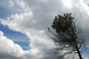A vueltas con la felicidad (Sant Llorenç Savall, Barcelona) A VUELTAS CON LA FELICIDAD…