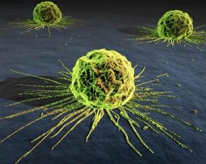 Los Experimentos, Causa Del Alto Costo Del Tratamiento Del Cáncer