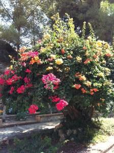 Ahora! Ahora o nunca