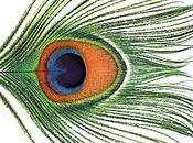 Discos: Apple Venus (XTC, 1999/ 2000)