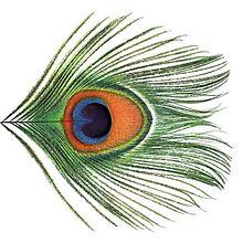 Discos: Apple Venus 1 & 2 (XTC, 1999/ 2000)