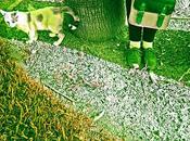 Llega Otoño Midori prepara para mudar Piel.