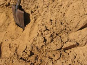 Cuestión de equilibrio