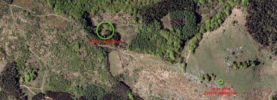 Hayas trasmochas en Gaztelumendi